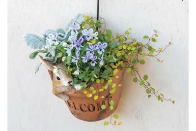 壁にかけて楽しむ【ビオラの寄せ植え】つる性植物で躍動感をプラス