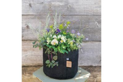 ニュアンスカラーの花色がおしゃれな【ビオラの寄せ植え】個性的な鉢もポイント