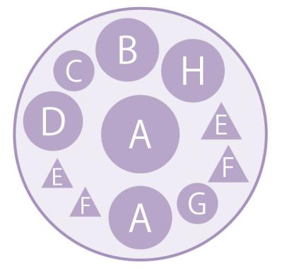 大人シックな雰囲気の【パンジー・ビオラの寄せ植え】フリルの花弁でフェミニンに（サムネイル画像7）