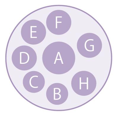 大人シックな雰囲気の【パンジー・ビオラの寄せ植え】フリルの花弁でフェミニンに（サムネイル画像10）