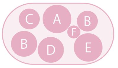 最新の品種で作る【ビオラの寄せ植え】リーフ類の組み合わせ方にも注目！（サムネイル画像4）