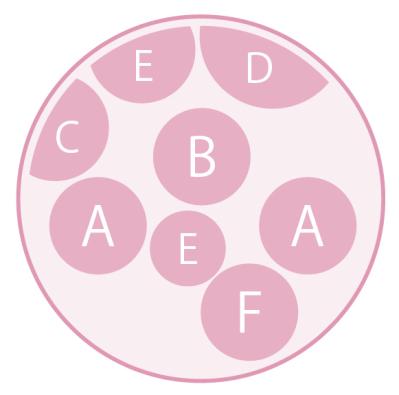 大人シックな雰囲気の【パンジー・ビオラの寄せ植え】フリルの花弁でフェミニンに（サムネイル画像4）