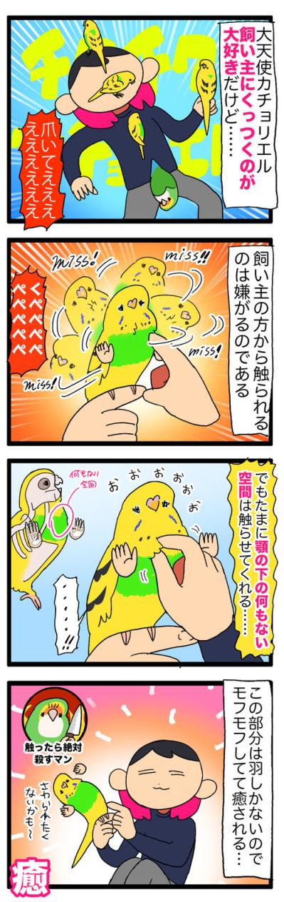 掃除機の爆音にビビる？インコ・カチョ、音怖克服チャレンジ【鳥マンガ #132】（サムネイル画像5）