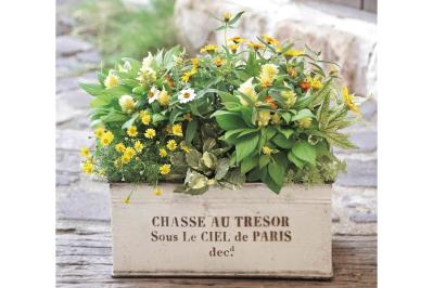 センスのよさがインスタで話題！ 園芸店「Chels Green」の【ケイトウが主役の秋の寄せ植え】