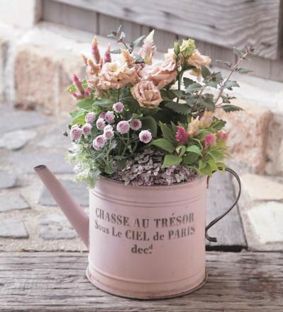 みんなの大好きカラー【ピンクの花の秋の寄せ植え】同系色の鉢を使って愛らしく（サムネイル画像2）