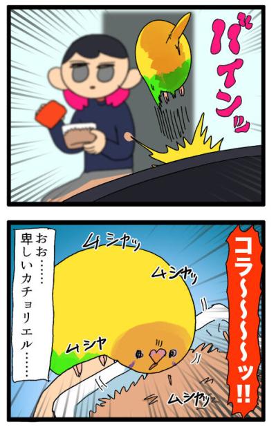食べたい、真似したい、かわいすぎ！ダイエット中のセキセイインコ奮闘記【鳥マンガ #137】（サムネイル画像5）