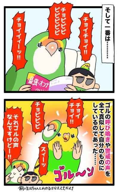 こうしてインコは姉妹になるのね／天使の顔で野太い声が出た！【鳥マンガ #135】（サムネイル画像5）