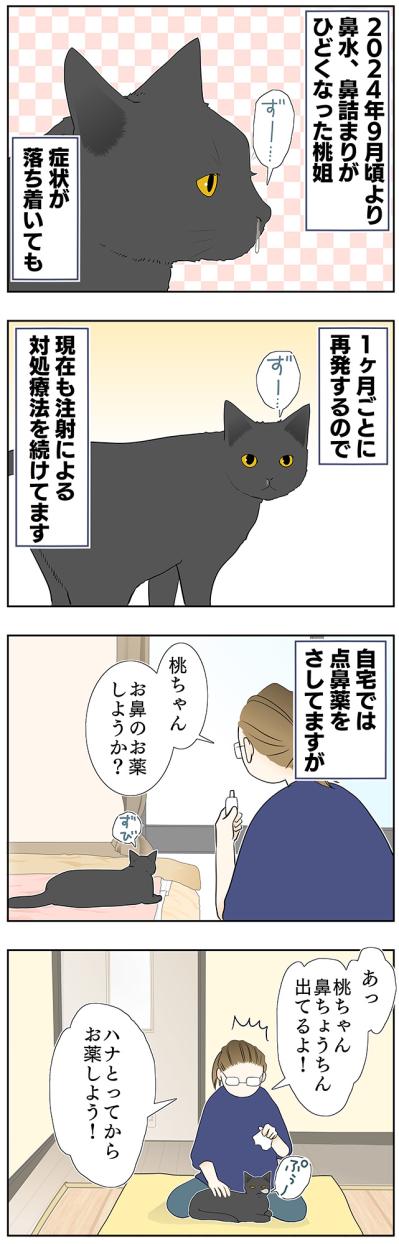 【マンガ・老猫日誌＃39】老猫と鼻水とクシャミ〜19歳の元保護猫・桃姐（サムネイル画像2）