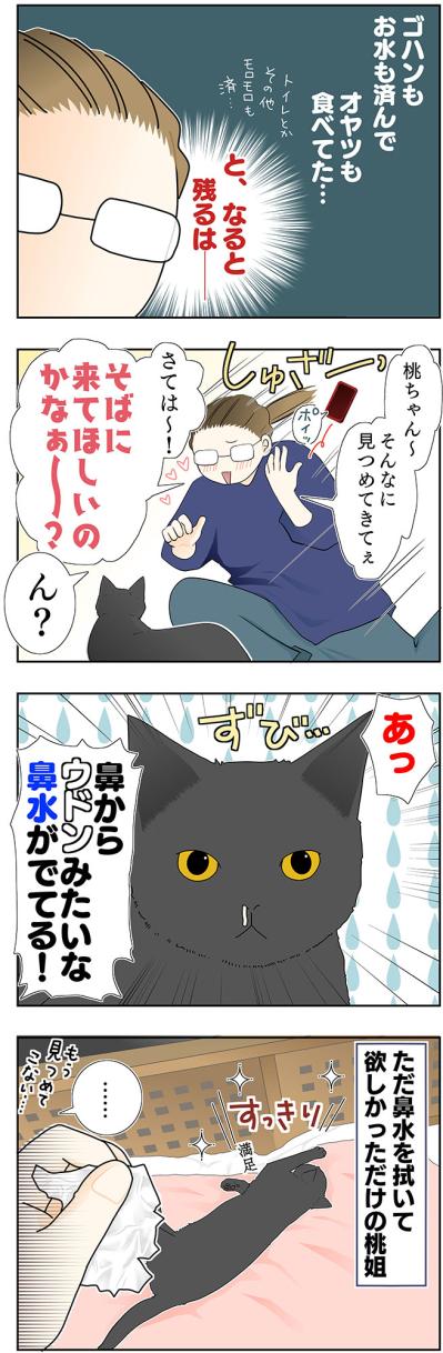 【マンガ・老猫日誌＃40】ジッと見つめてくる そのワケは！？19歳の元保護猫・桃姐（サムネイル画像3）