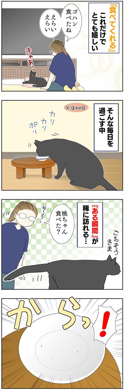 【マンガ・老猫日誌＃43】老猫の奇跡？な出来事〜19歳の元保護猫・桃姐（サムネイル画像3）