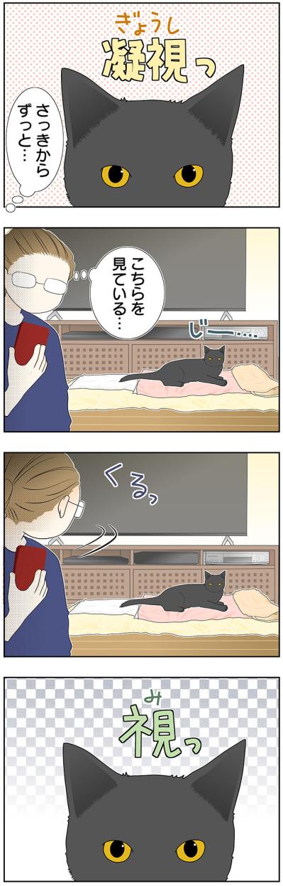 【マンガ・老猫日誌＃40】ジッと見つめてくる そのワケは！？19歳の元保護猫・桃姐（サムネイル画像2）