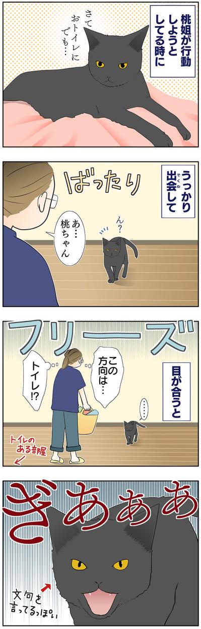 【マンガ・老猫日誌＃44】老猫が行動する時の心得！？19歳の元保護猫・桃姐（サムネイル画像2）