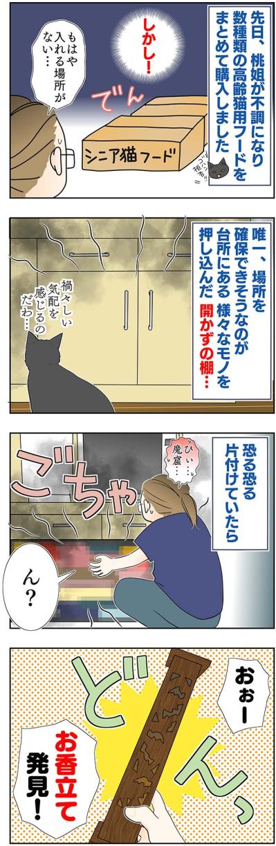 【マンガ・老猫日誌＃45】いつか、という日を考える〜19歳の元保護猫・桃姐（サムネイル画像2）
