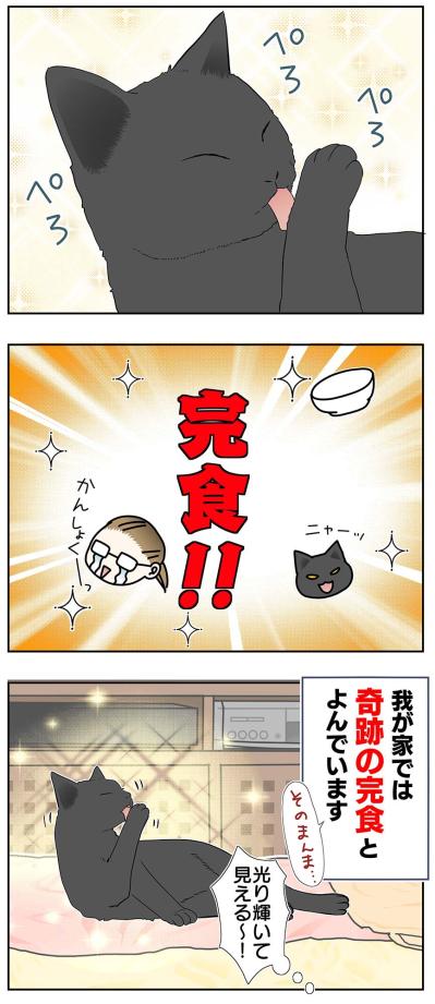【マンガ・老猫日誌＃43】老猫の奇跡？な出来事〜19歳の元保護猫・桃姐（サムネイル画像4）