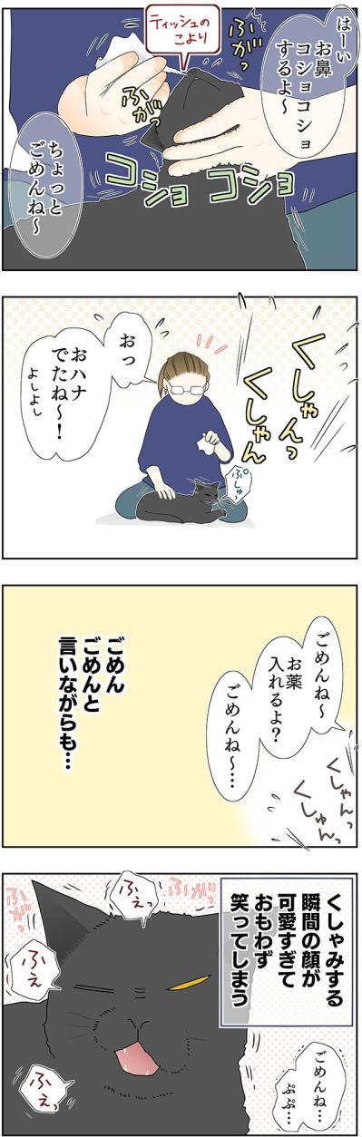【マンガ・老猫日誌＃39】老猫と鼻水とクシャミ〜19歳の元保護猫・桃姐（サムネイル画像3）