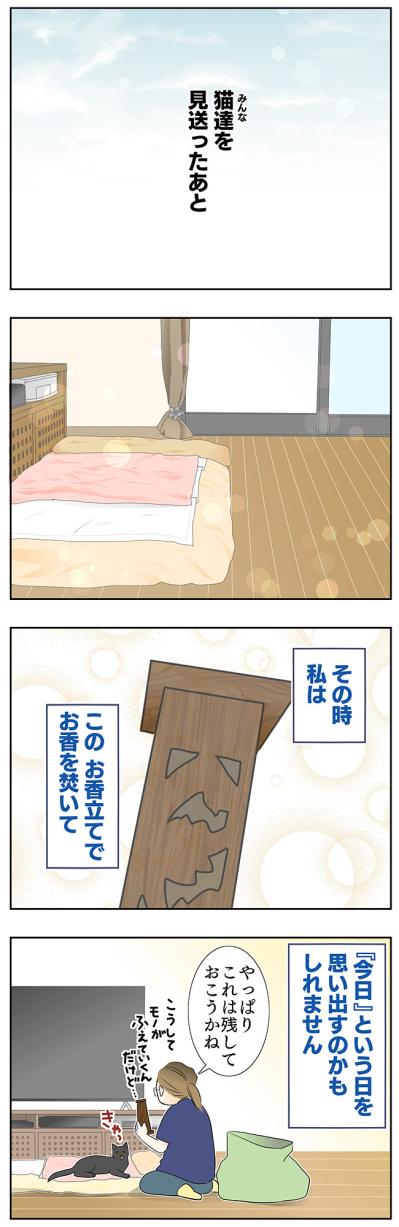 【マンガ・老猫日誌＃45】いつか、という日を考える〜19歳の元保護猫・桃姐（サムネイル画像5）