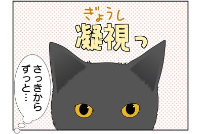 【マンガ・老猫日誌＃40】ジッと見つめてくる そのワケは！？19歳の元保護猫・桃姐