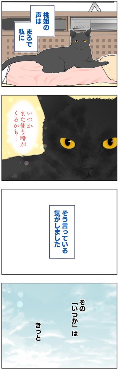 【マンガ・老猫日誌＃45】いつか、という日を考える〜19歳の元保護猫・桃姐（サムネイル画像4）