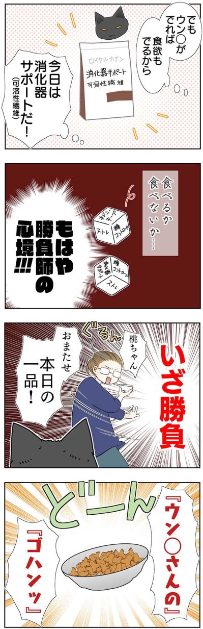 【マンガ・老猫日誌＃41】ゴハンの言い間違えは許さない？19歳の元保護猫・桃姐（サムネイル画像3）