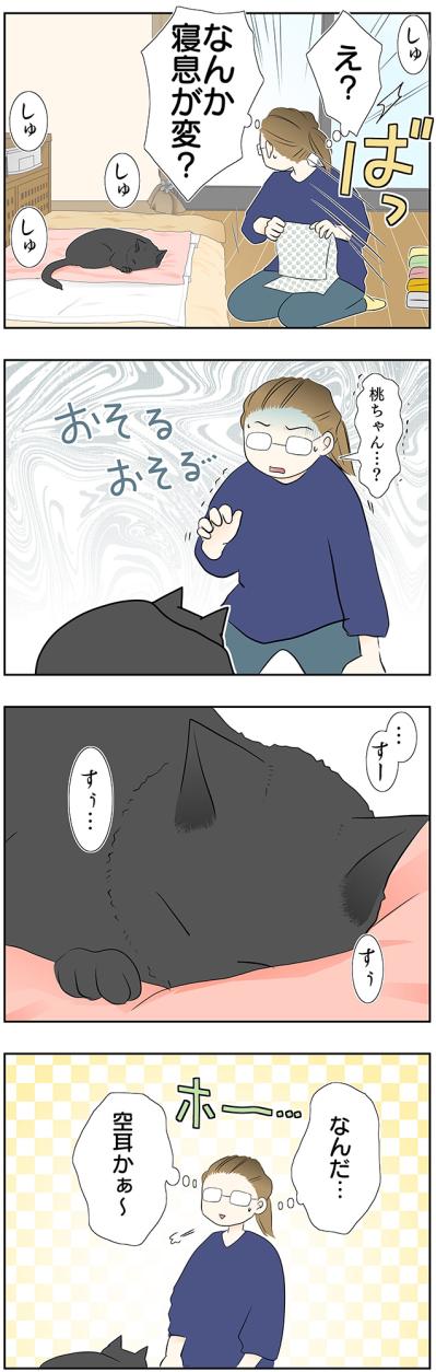 【マンガ・老猫日誌＃38】寝てる時の寝息が まさかのホラー！？19歳の元保護猫・桃姐（サムネイル画像3）