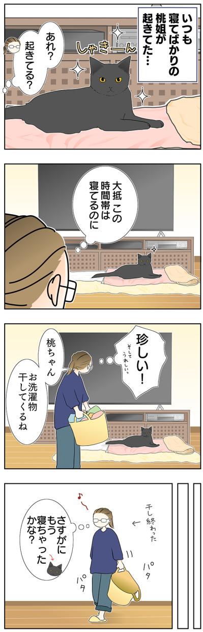 【マンガ・老猫日誌＃37】同じ姿勢を保つ老猫？ 19歳の元保護猫・桃姐（サムネイル画像2）
