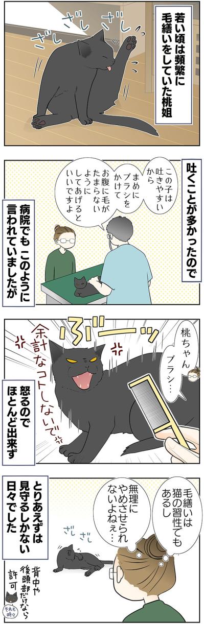 【マンガ・老猫日誌＃42】困ってたことを、しなくなると寂しくなる？19歳の元保護猫・桃姐（サムネイル画像2）