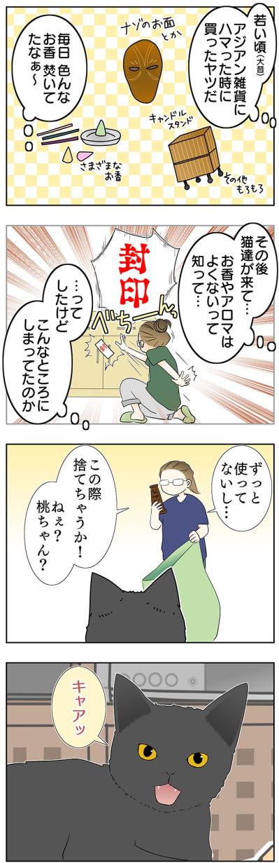 【マンガ・老猫日誌＃45】いつか、という日を考える〜19歳の元保護猫・桃姐（サムネイル画像3）