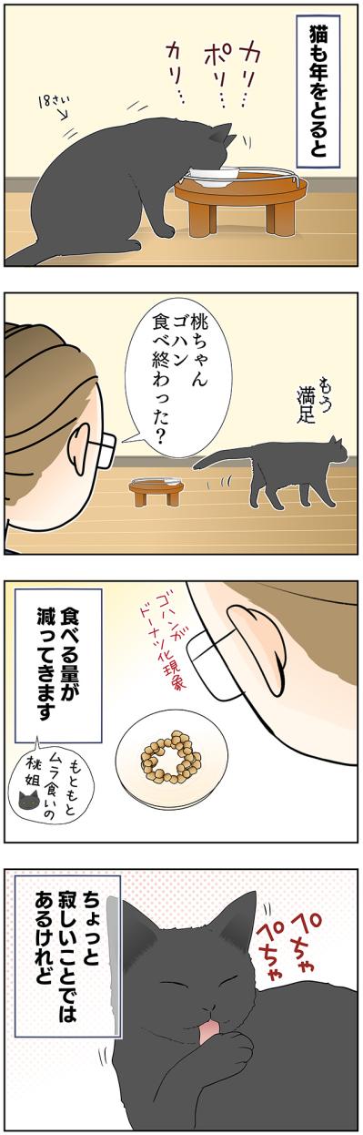 【マンガ・老猫日誌＃43】老猫の奇跡？な出来事〜19歳の元保護猫・桃姐（サムネイル画像2）
