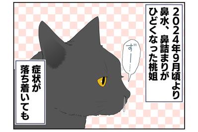 【マンガ・老猫日誌＃39】老猫と鼻水とクシャミ〜19歳の元保護猫・桃姐