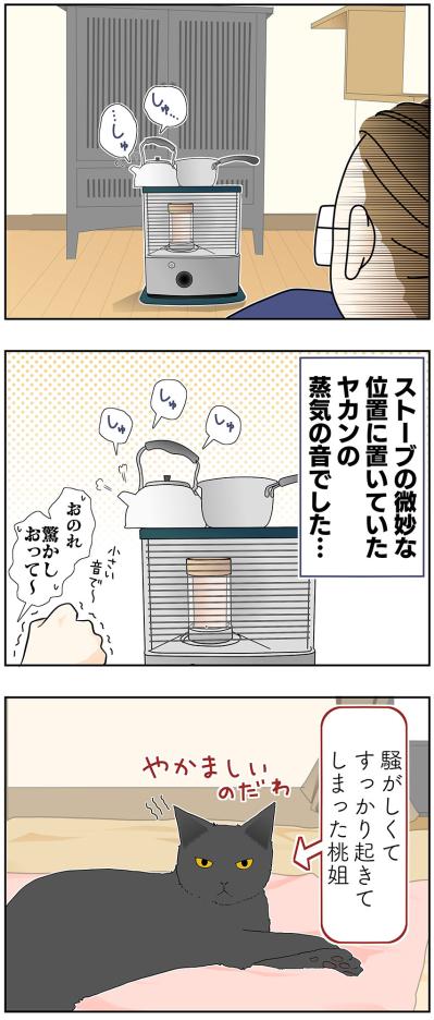 【マンガ・老猫日誌＃38】寝てる時の寝息が まさかのホラー！？19歳の元保護猫・桃姐（サムネイル画像5）