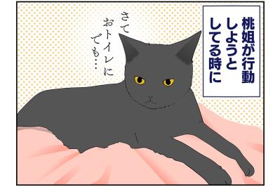 【マンガ・老猫日誌＃44】老猫が行動する時の心得！？19歳の元保護猫・桃姐