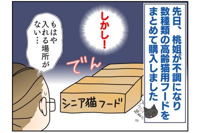 【マンガ・老猫日誌＃45】いつか、という日を考える〜19歳の元保護猫・桃姐