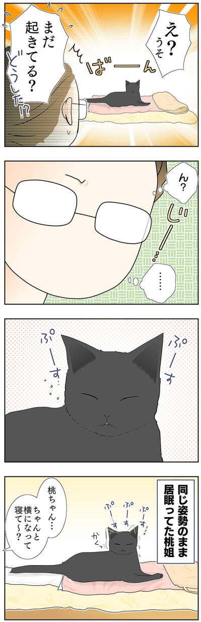 【マンガ・老猫日誌＃37】同じ姿勢を保つ老猫？ 19歳の元保護猫・桃姐（サムネイル画像3）