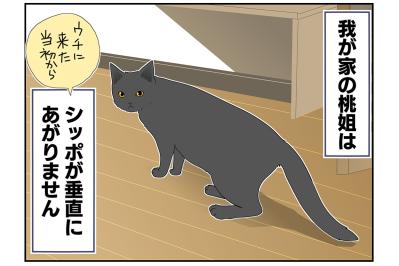 【マンガ・老猫日誌＃36】シッポのこと。19歳の元保護猫・桃姐