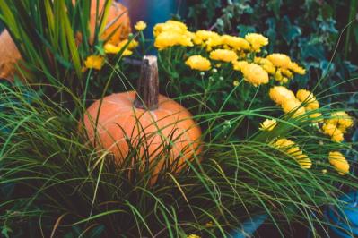 秋色ガーデンをもっと素敵に！主役を替えるだけの寄せ植えリメイク術（サムネイル画像6）