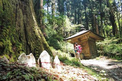 驚きの800km！【黛まどかさん】が語る「歩く旅」。サンティアゴ巡礼や四国遍路から得た人生の気づきとは？（サムネイル画像8）