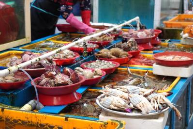 50代からの韓国旅。懐かしい市場と“東洋のナポリ”統営へ—映画『最後のピクニック』の舞台・南海も散歩（サムネイル画像9）