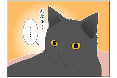 【マンガ・老猫日誌＃33】老猫、中高年猫から刺激？をもらう…19歳の元保護猫・桃姐