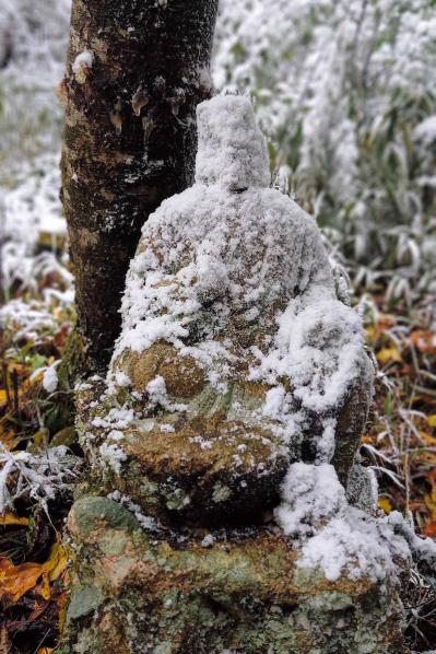 驚きの800km！【黛まどかさん】が語る「歩く旅」。サンティアゴ巡礼や四国遍路から得た人生の気づきとは？（サムネイル画像11）