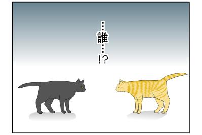 【マンガ・老猫日誌＃34】猫、互いの存在を忘れる？ 19歳の元保護猫・桃姐