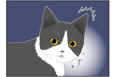 【マンガ・老猫日誌＃32】猫、つまみ食いをする。19歳の元保護猫・桃姐