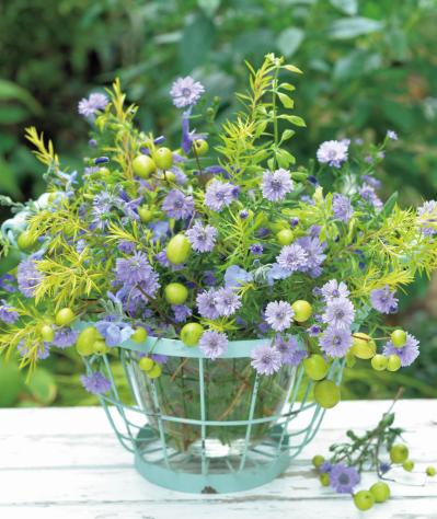 園芸家・青木純子さん直伝！ 庭で育てた草花で作る【晩秋の花のアレンジアイディア】（サムネイル画像2）