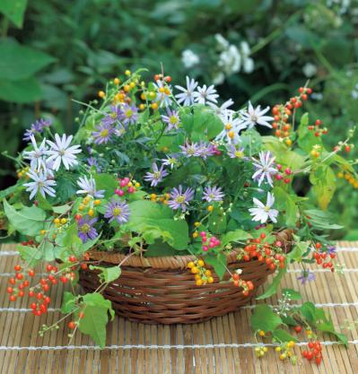 庭の小さな実で愛らしさ満点！【秋の実もの】を使ったアレンジアイディア（サムネイル画像2）