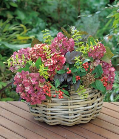 庭の小さな実で愛らしさ満点！【秋の実もの】を使ったアレンジアイディア（サムネイル画像4）