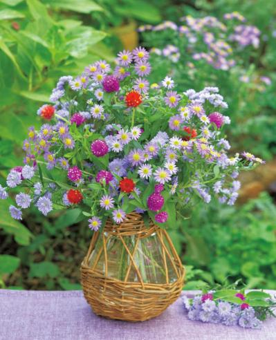 夏の残りの花と秋の花で作る「初秋のアレンジアイディア」【アフターガーデニング】（サムネイル画像8）