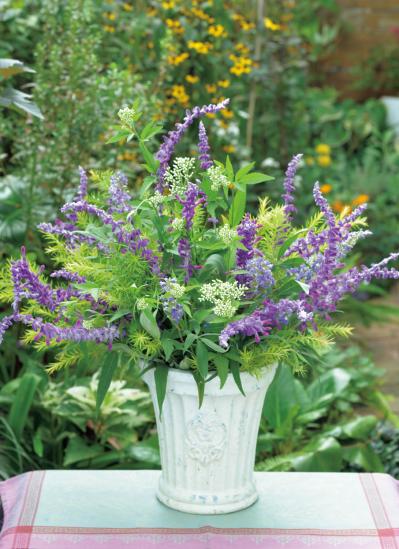 夏の残りの花と秋の花で作る「初秋のアレンジアイディア」【アフターガーデニング】（サムネイル画像10）