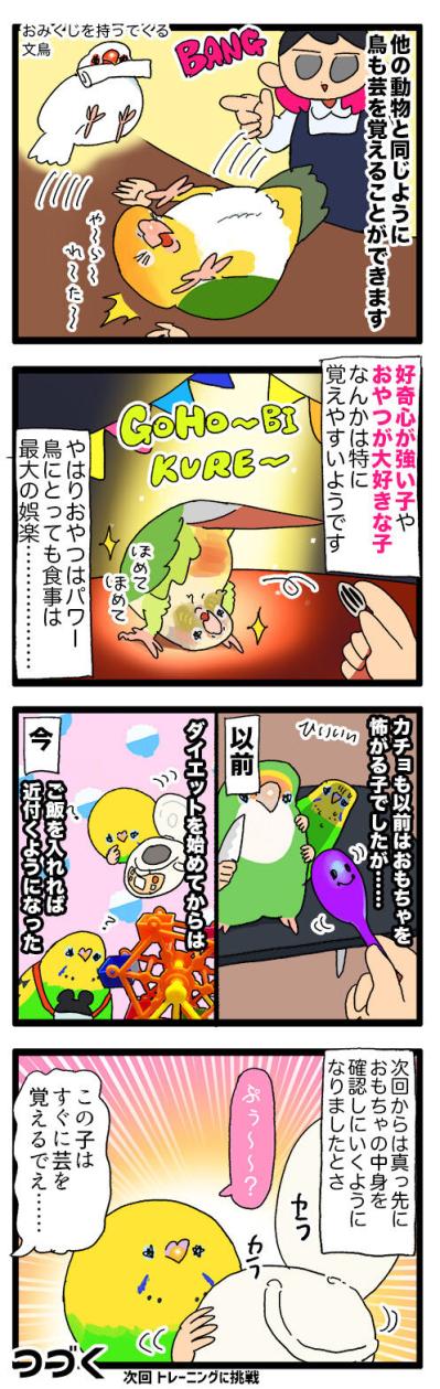 芸を覚えるはずが…？セキセイ女子カチョ、学びの果ての珍ポーズ【鳥マンガ #141】（サムネイル画像4）