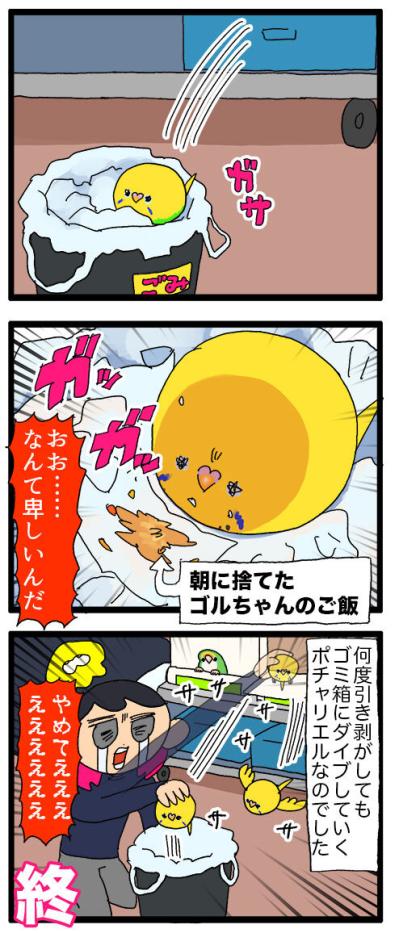 ダイエット中なのに食欲全開！セキセイインコ女子カチョの受難【鳥マンガ #139】（サムネイル画像5）