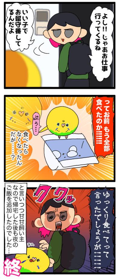 セキセイインコのカチョ。留守中のごはんとダイエット中の食糞問題！【鳥マンガ #142】（サムネイル画像5）