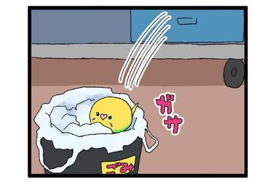 ダイエット中なのに食欲全開！セキセイインコ女子カチョの受難【鳥マンガ #139】